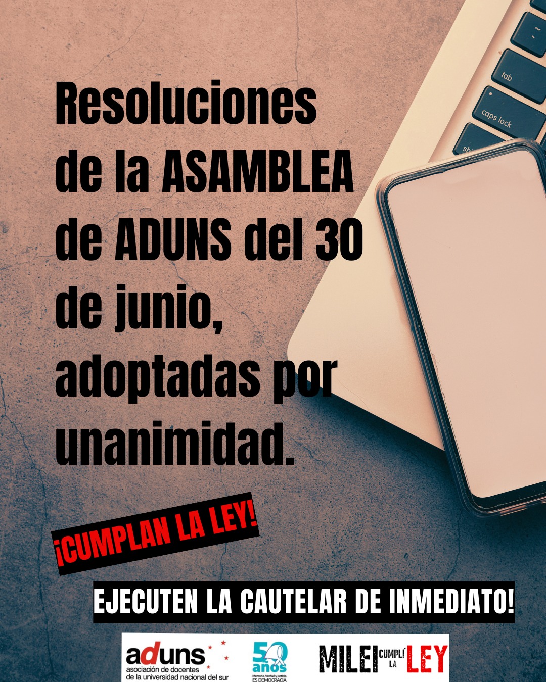 RESOLUCIONES de la ASAMBLEA de ADUNS (30/6/26)